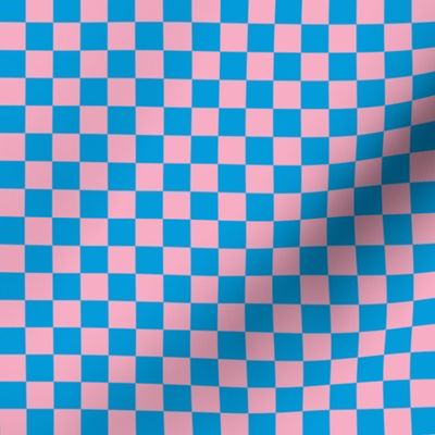 JP11 - Large - Checkerboard of One Inch Squares in Pink and Blue