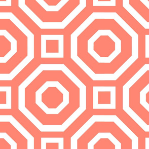 Geometry Coral