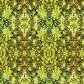 Romanesco