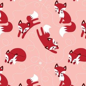 Little red fox
