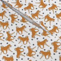 Tiny Trotting red Shiba Inu and paw prints - white