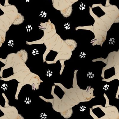 Trotting cream Shiba Inu and paw prints - black