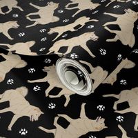 Trotting cream Shiba Inu and paw prints - black