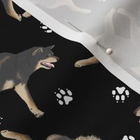 Trotting black and tan Shiba Inu and paw prints - black