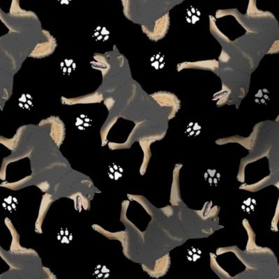 Trotting black and tan Shiba Inu and paw prints - black