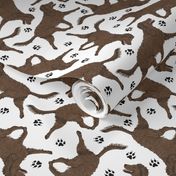 Trotting American Water Spaniel and paw prints - white
