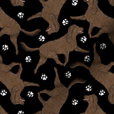 Trotting American Water Spaniel and paw prints - black