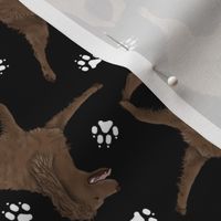 Trotting American Water Spaniel and paw prints - black