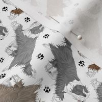 Tiny Trotting Bearded Collies and paw prints - white