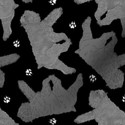 Trotting black and silver Bouvier des Flandres and paw prints - black