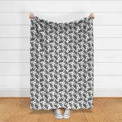 Trotting uncropped black and silver Bouvier des Flandres and paw prints - white