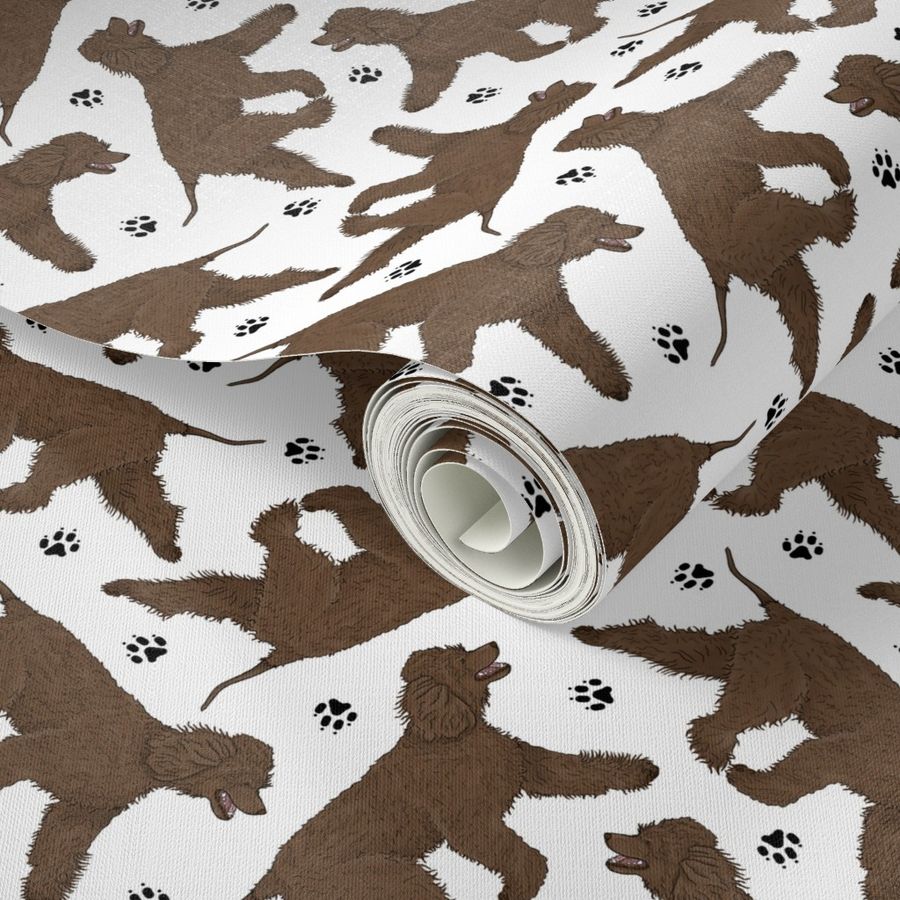 Trotting Irish Water Spaniels and paw prints - white