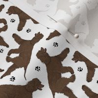 Tiny Trotting Irish Water Spaniels and paw prints - white