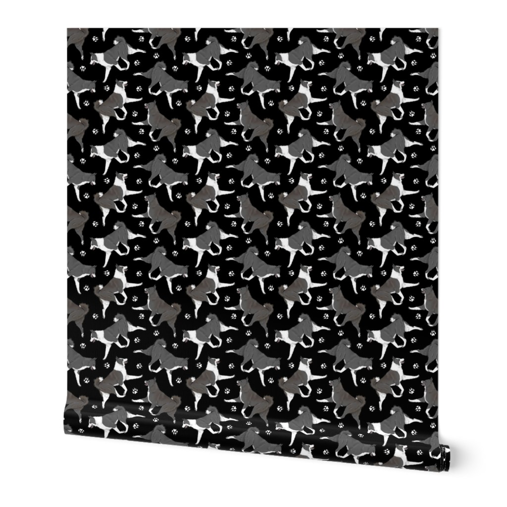 Trotting Karelian Bear dogs and paw prints - black