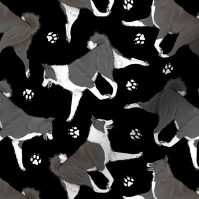 Trotting Karelian Bear dogs and paw prints - black