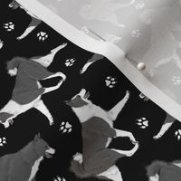 Tiny Trotting Karelian Bear dogs and paw prints - black