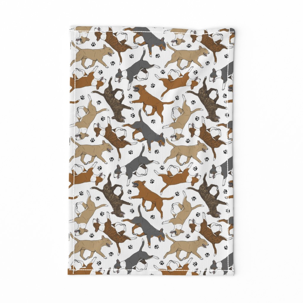 Trotting Miniature Bull Terriers colored and paw prints - white