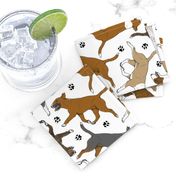 Trotting Miniature Bull Terriers colored and paw prints - white