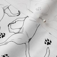 Trotting Miniature Bull Terriers white and paw prints - white