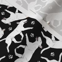 Tiny Trotting Miniature Bull Terriers white and paw prints - black