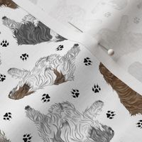 Tiny Trotting Polish Lowland Sheepdogs and paw prints - white
