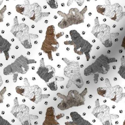 Tiny Trotting Polish Lowland Sheepdogs and paw prints - white