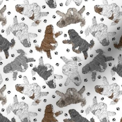 Tiny Trotting tailed Polish Lowland Sheepdogs and paw prints - white