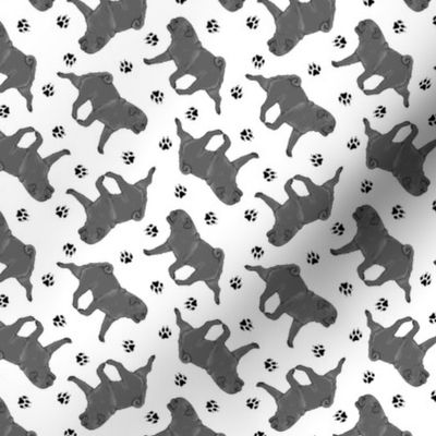 Tiny Trotting black Pugs and paw prints - white