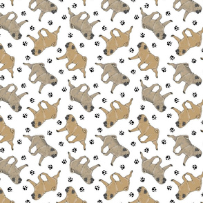 Trotting fawn Pugs and paw prints - white