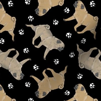 Trotting fawn Pugs and paw prints - black