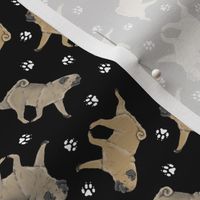 Tiny Trotting fawn Pugs and paw prints - black