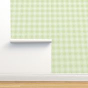 Light Green Plaid Fabric