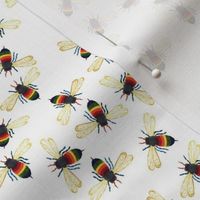 Rainbow Warrior Bee