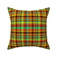 BN12 -  LG - Hot and Cold plaid