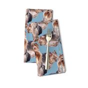 Yorkshire terrier fabric