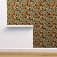 Yorkshire terrier fabric