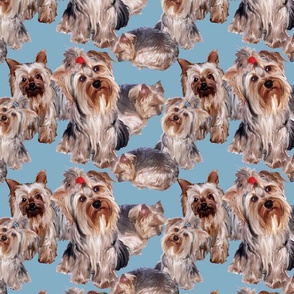 Yorkshire terrier fabric