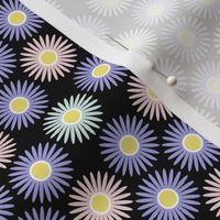 00759823 : S43floral : michaelmas daisies