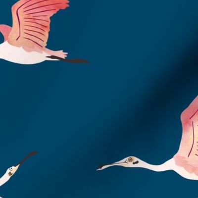 Flying Spoonbills on navy