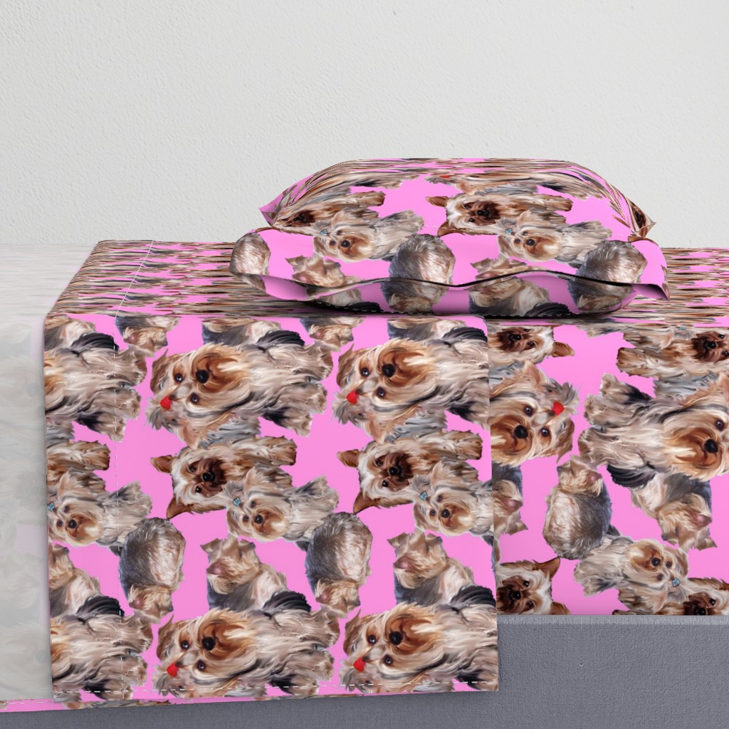 Yorkies on Pink Background