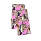 Yorkies on Pink Background