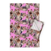 Yorkies on Pink Background