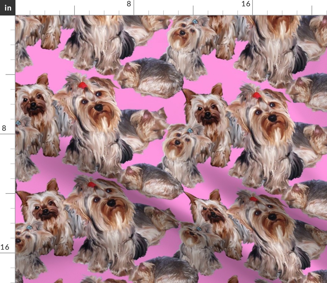 Yorkies on Pink Background