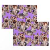 lavender Yorkshire terrier fabric