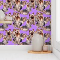 lavender Yorkshire terrier fabric