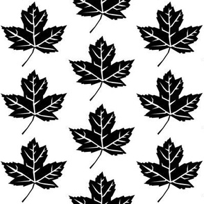black maple leaves