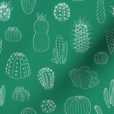 Cactuses seamless pattern, hand drawn vector illustration. outline sketch chalk style. Succulent collection.