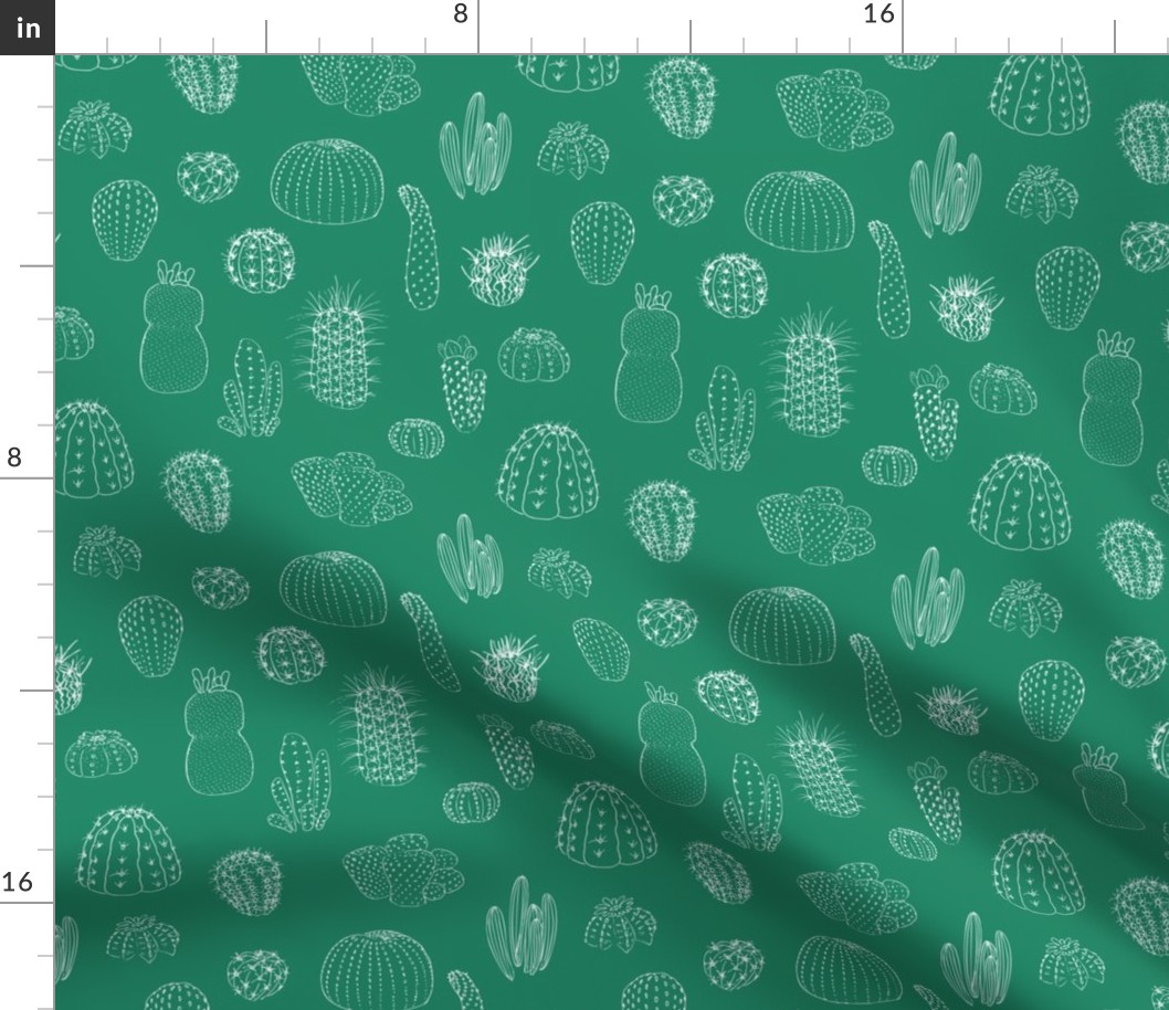 Cactuses seamless pattern, hand drawn vector illustration. outline sketch chalk style. Succulent collection.