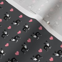 grey boston terrier (tiny scale) love hearts fabric cute dog fabric 