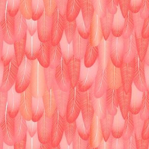 Flamingo Feather Smaller Scale ©Jennifer Garrett